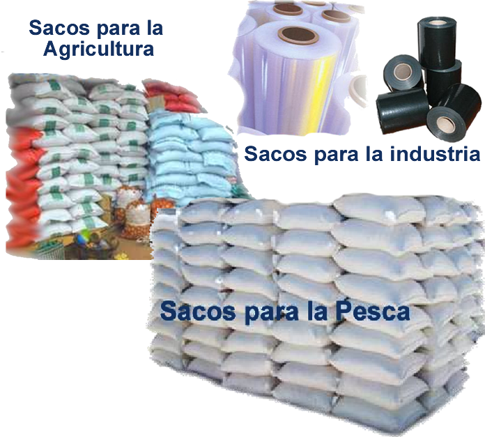 First Vector Graphic